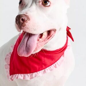 The Foggy Dog - L - Red + Pink Ruffle Dog Bandana Scarf
